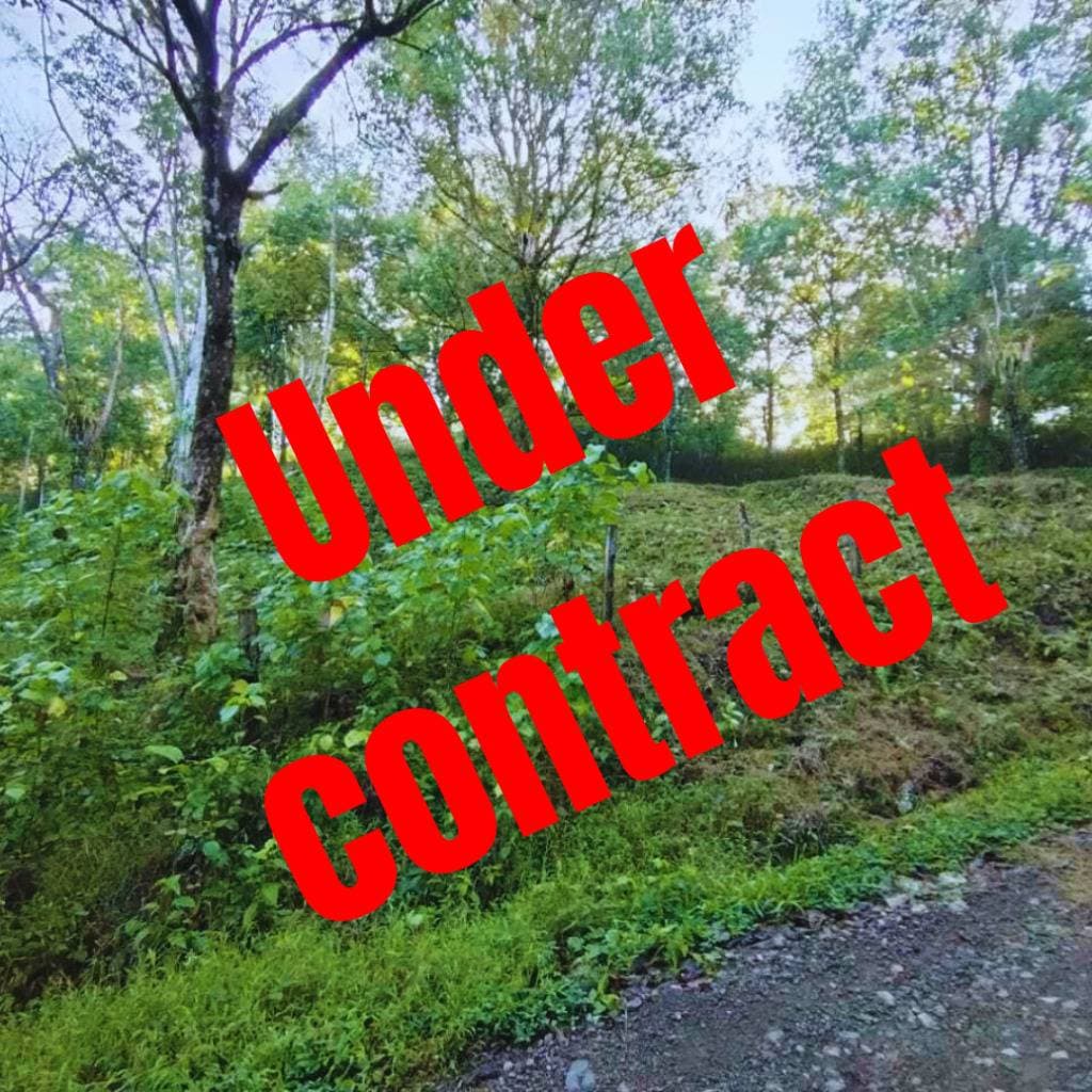 Property at Tres Ríos