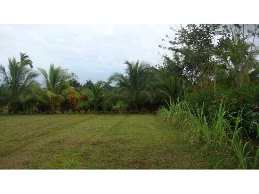 Propiedad en La Fortuna