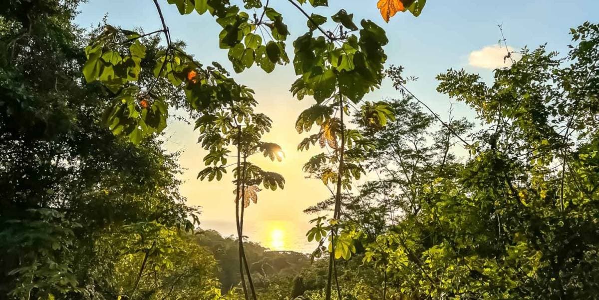 Property at Puntarenas