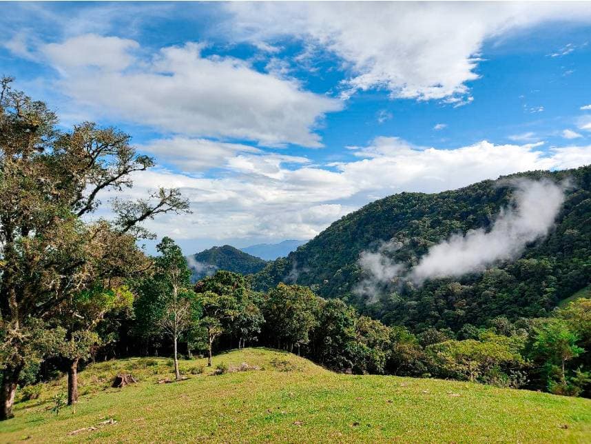 Property at Cangrejal