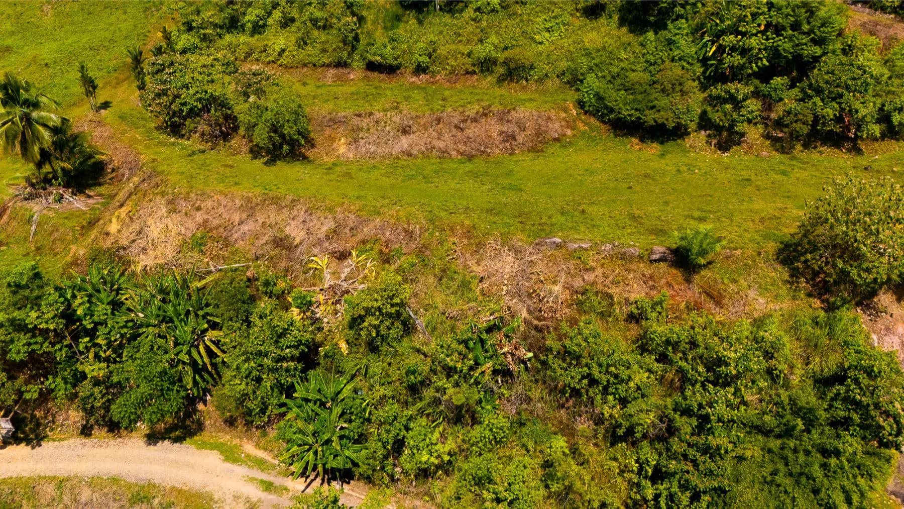 Terreno en Puerto Cortés