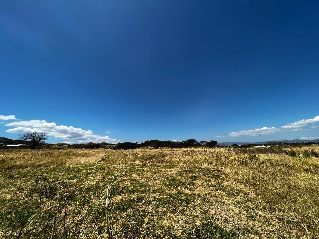 Comercial en Piedades