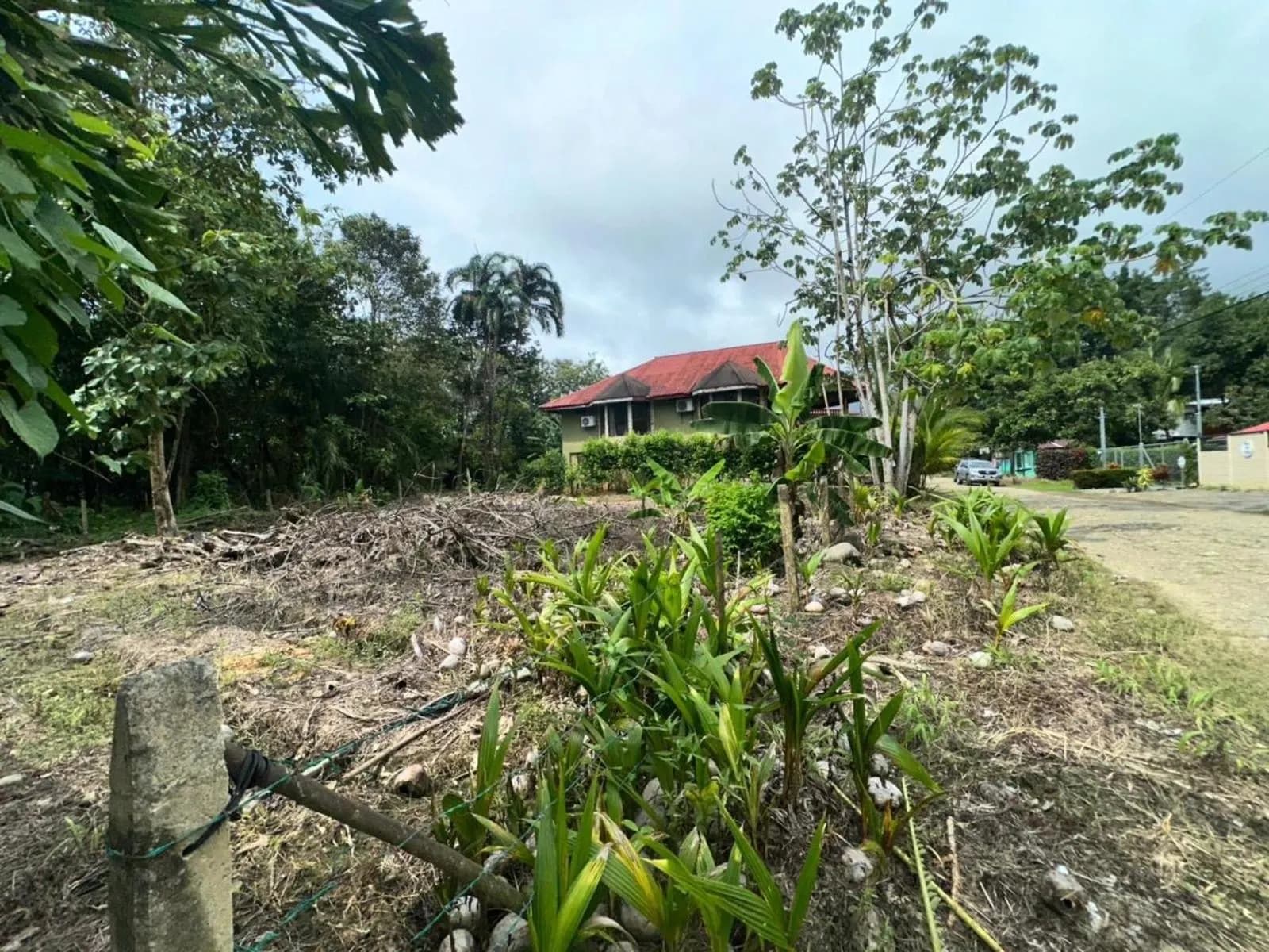 Land at Bahía Ballena