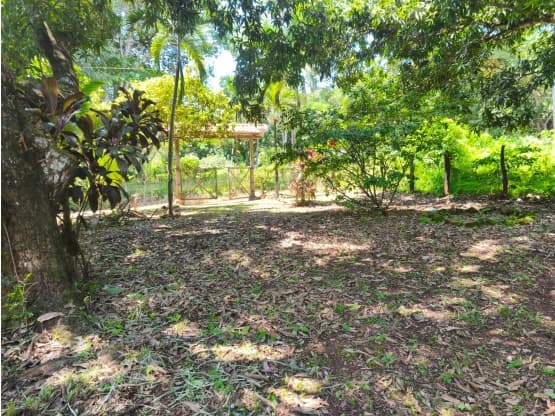 Property at Coyolar