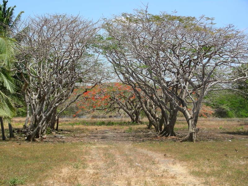 Terreno en Curridabat