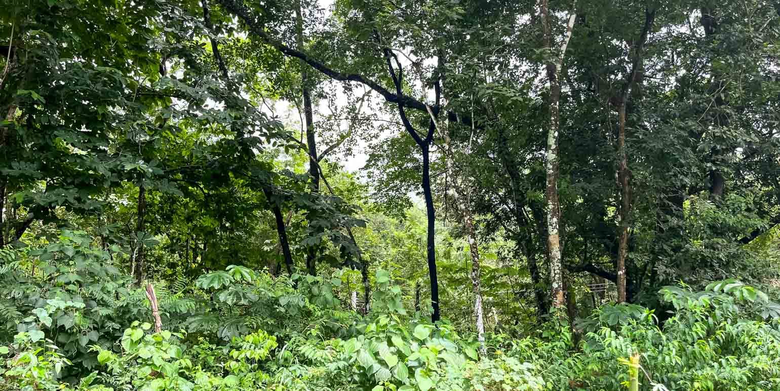 Propiedad en Puntarenas