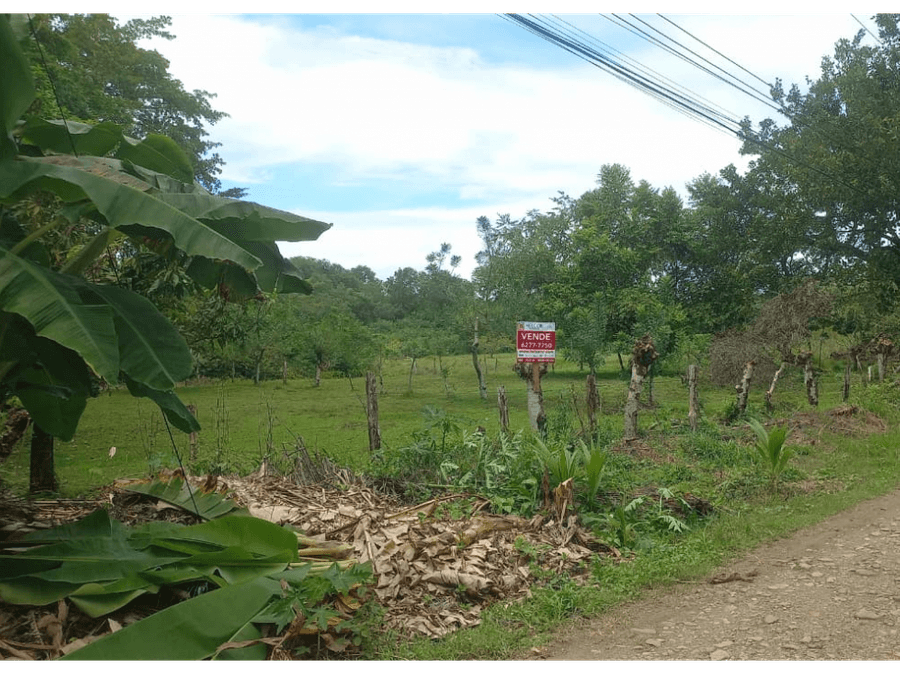 Propiedad en Bahía Ballena