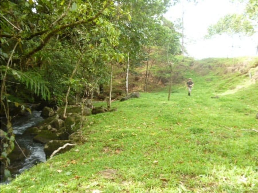 Finca en Venecia