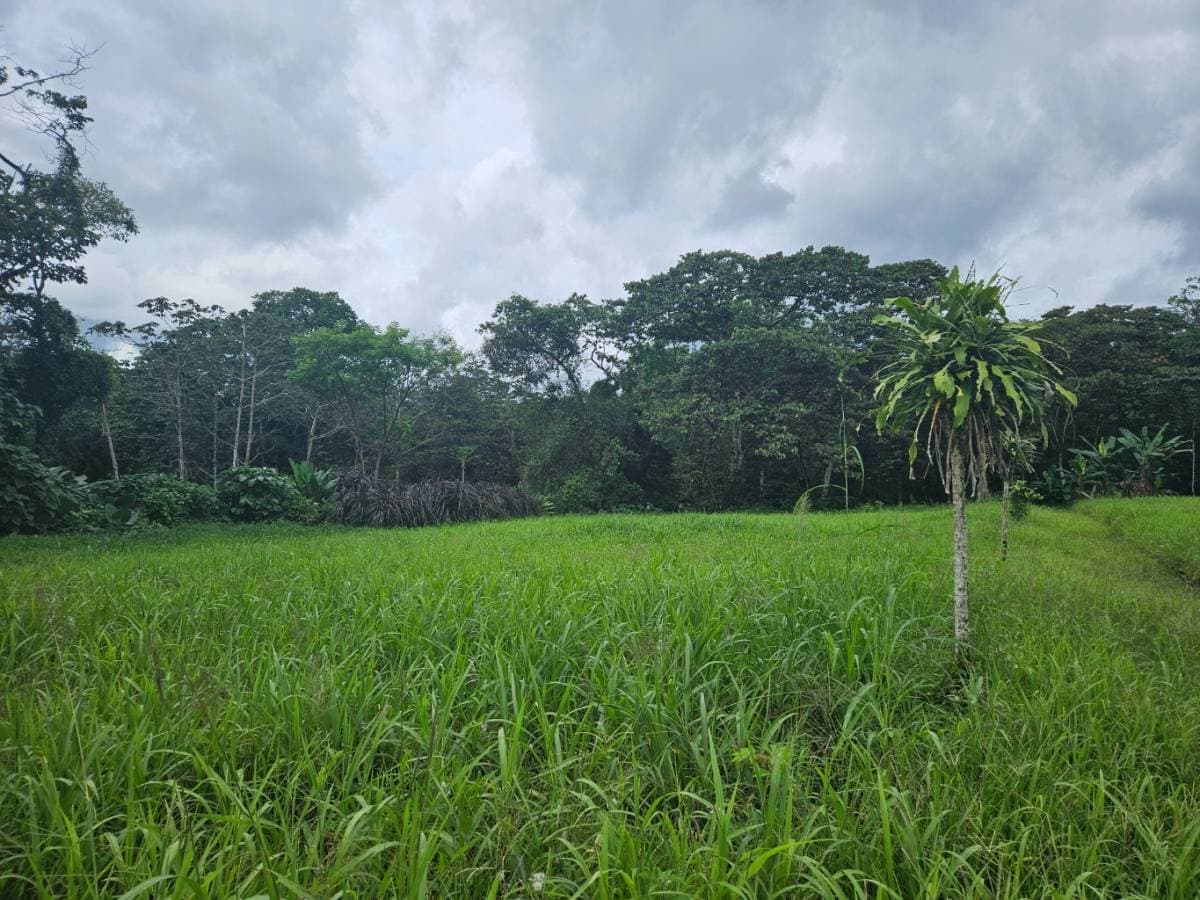 Propiedad en La Fortuna