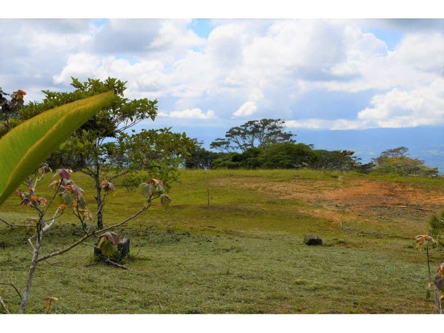 Property at Pérez Zeledón