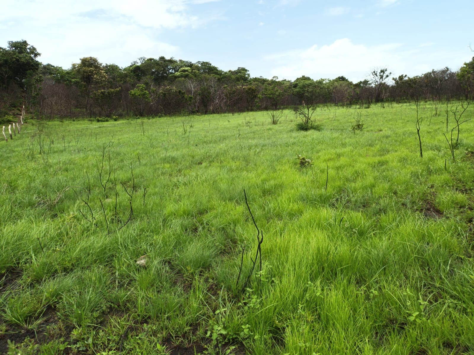 Terreno en La Cruz