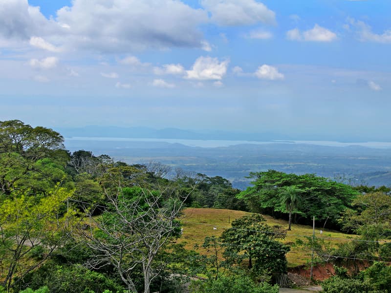 Land at Hacienda Vieja
