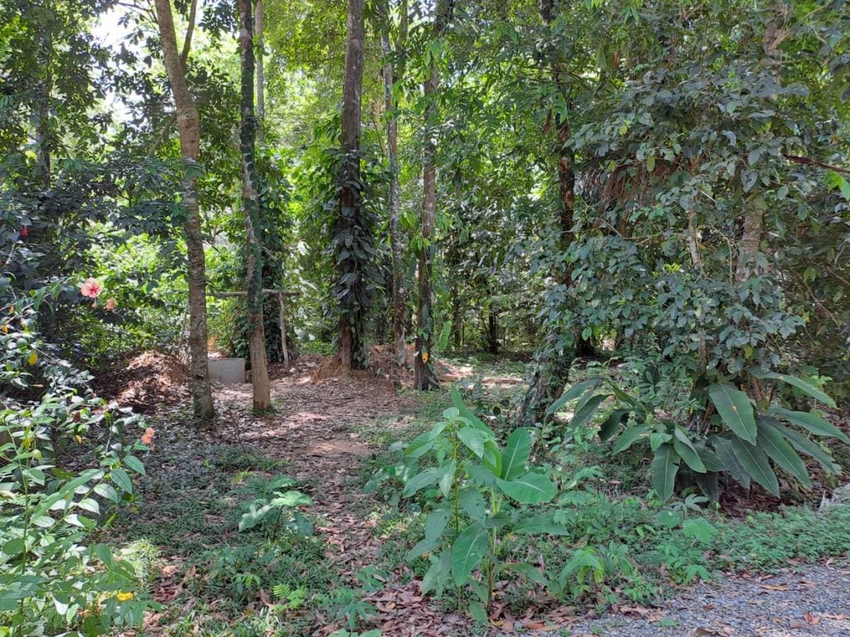 Propiedad en Punta Uva