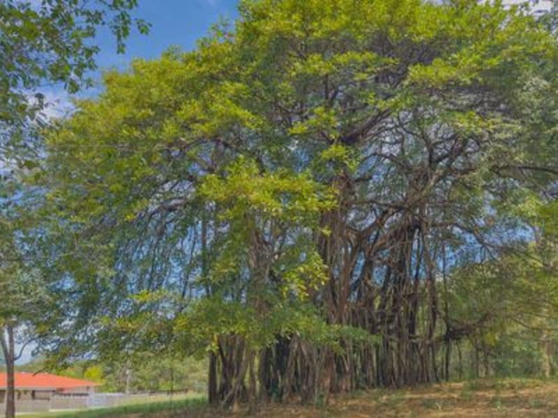 Terreno en Hermosa Del Mar