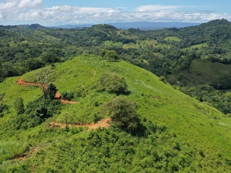 Propiedad en Puerto Cortés