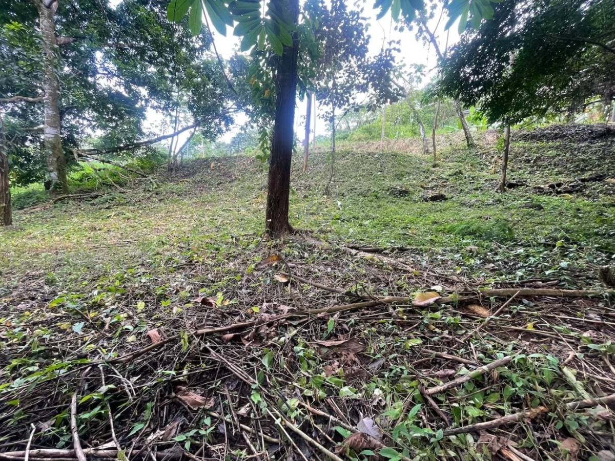 Propiedad en Ojochal
