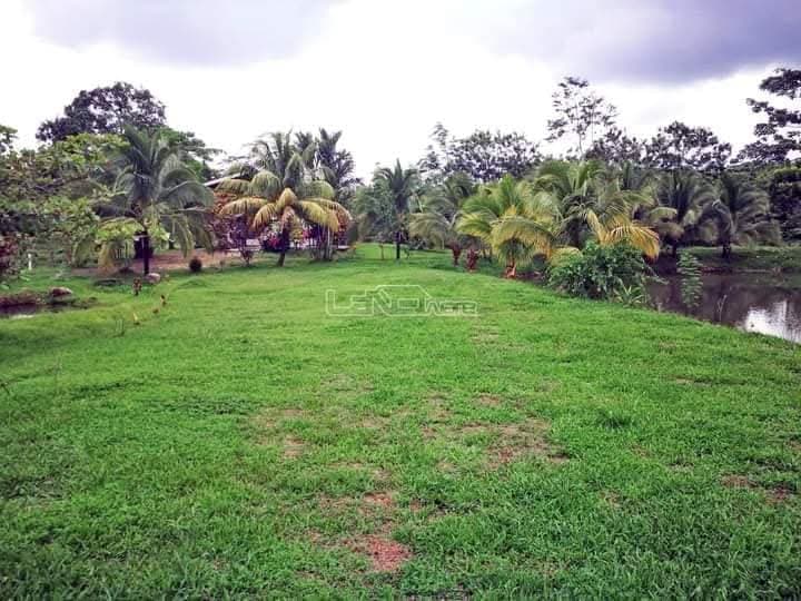 Terreno en La Palmera