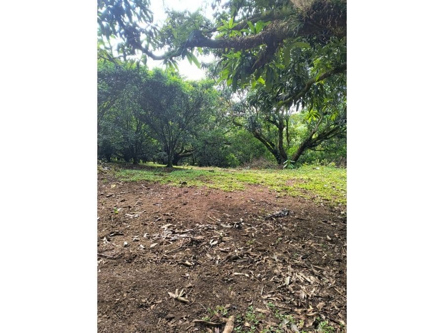 Terreno en Atenas