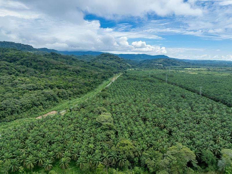 Propiedad en Corredor