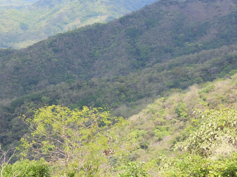 Terreno en Bejuco