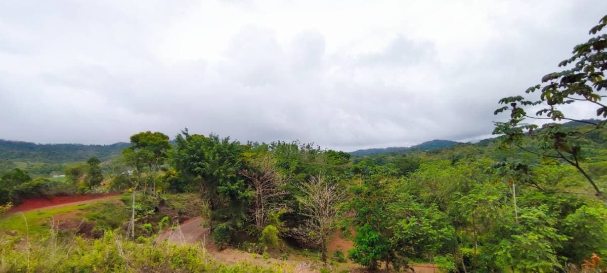 Property at Camaronal Arriba