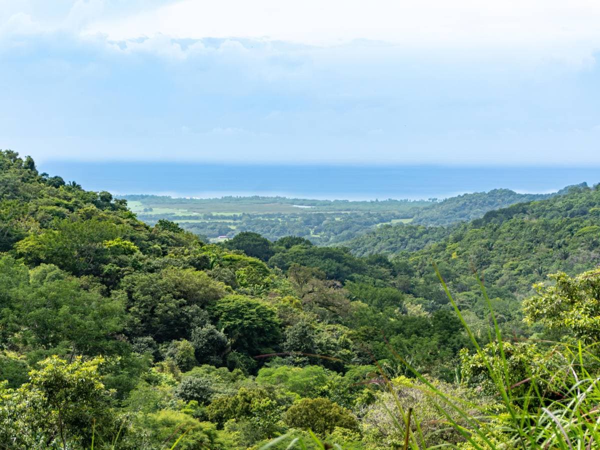 Propiedad en Punta Bejuco