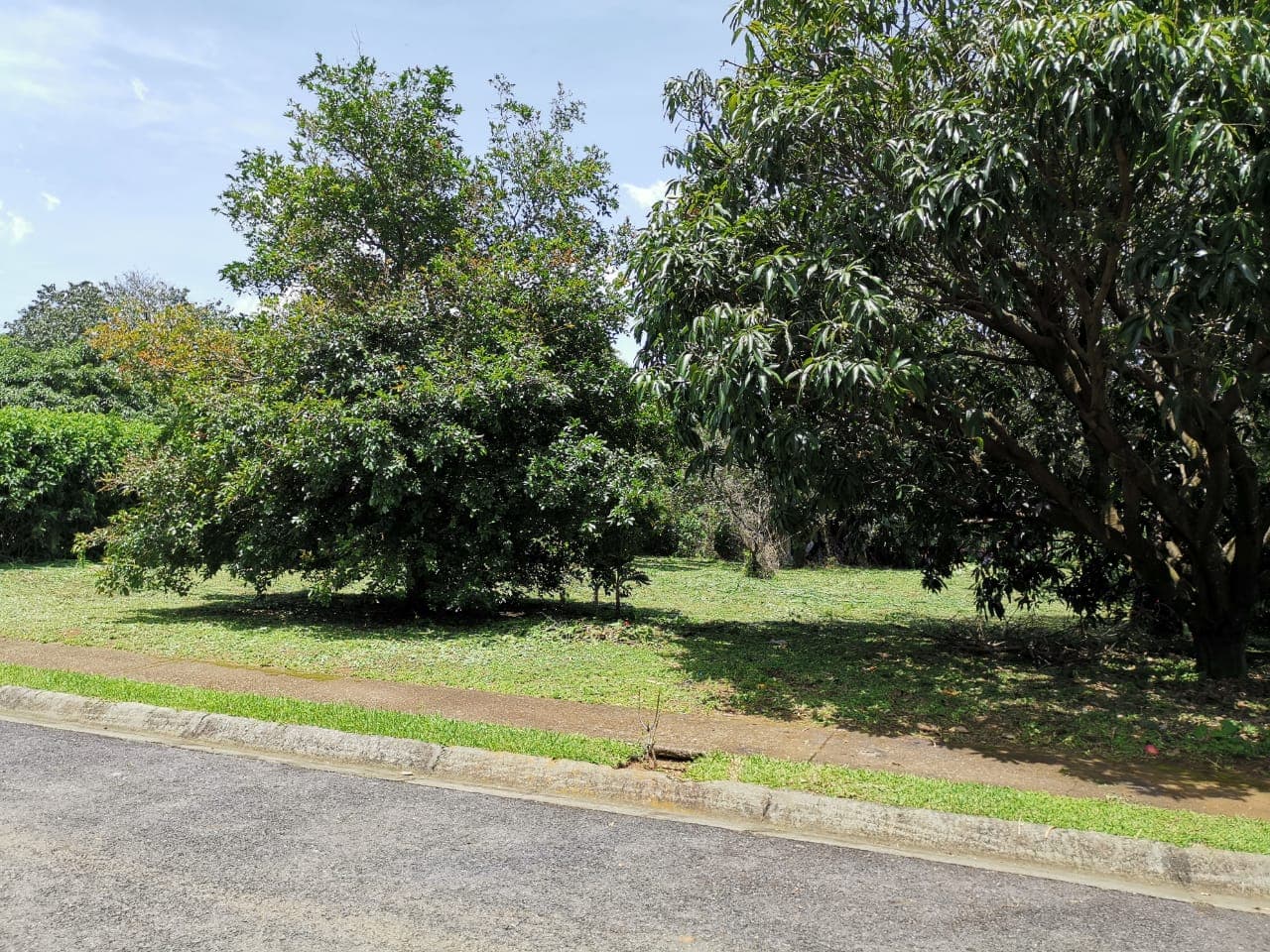 Lote grande en Grecia El Roble