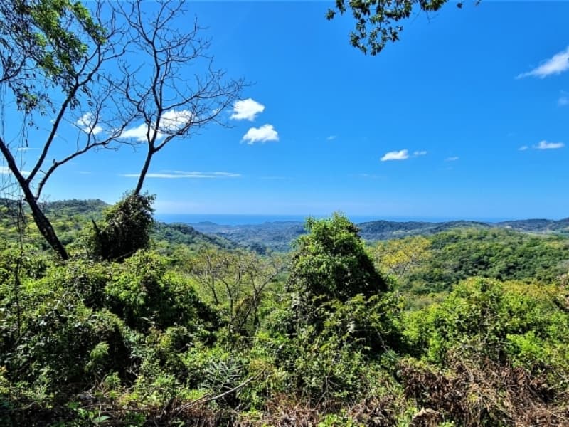 Land at Belén de Nosarita