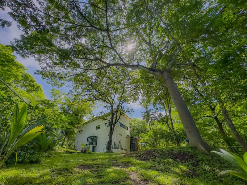 Propiedad en Sardinal