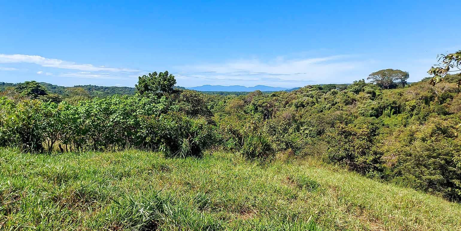 Propiedad en La Ceiba